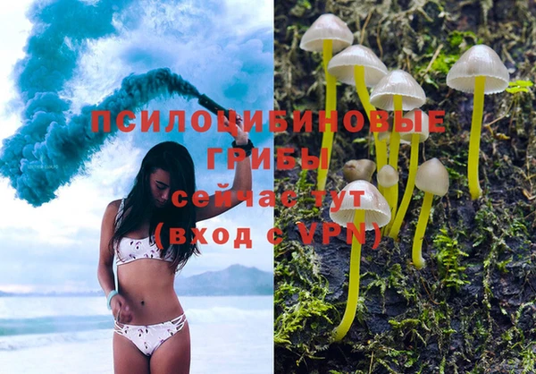 экстази Алексеевка