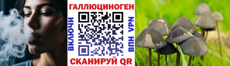 Псилоцибиновые грибы прущие грибы Сосновка