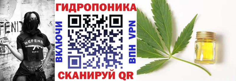 Конопля индика  Сосновка 